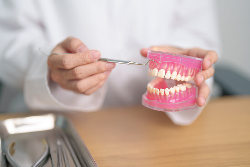 Higienista bucodental con estructura de dientes (Foto: envato)